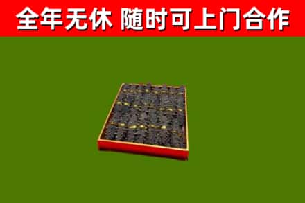 馆陶回收海参